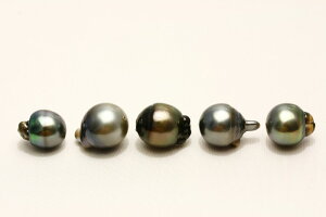 �^�q�`�����^��p�[�����[�X�@�����@5�s�[�X�@13-11mm�@�}���`�J���[