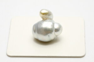 m^p[[X@15×11mm@Vo[O[J[