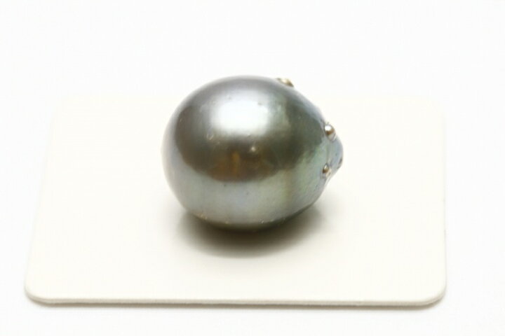 楽天市場】タヒチ黒蝶真珠パールルース 両穴 17×14mm グレーカラー 