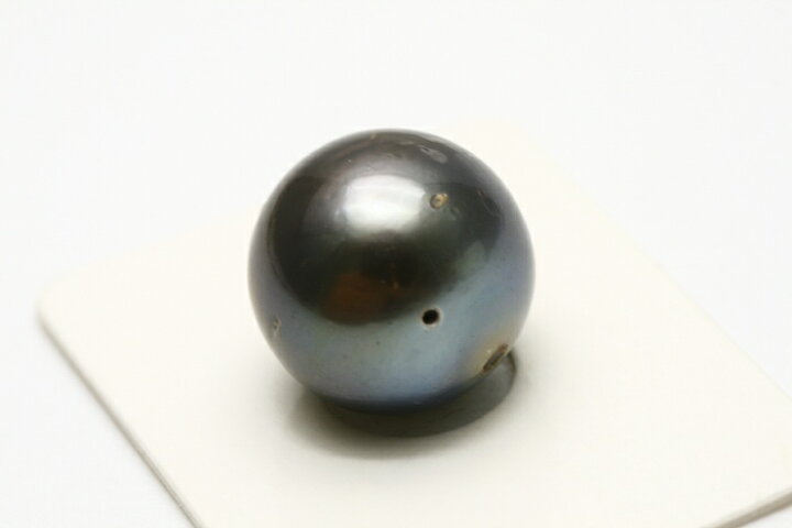楽天市場】タヒチ黒蝶真珠パールルース 両穴 14mm ブラックカラー 