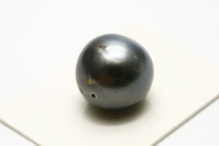 楽天市場】タヒチ黒蝶真珠パールルース 両穴 14mm ブラックカラー 