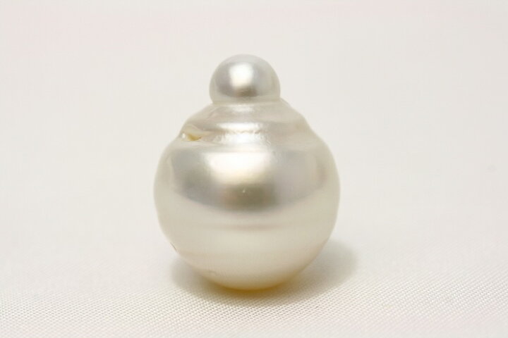 楽天市場】南洋白蝶真珠パールルース 20×16mm ホワイトカラー : 真珠倶楽部