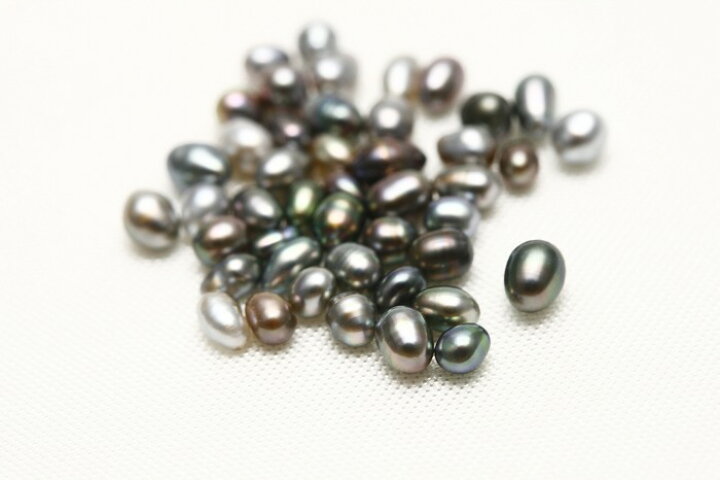 楽天市場】タヒチ黒蝶真珠パールルース ケシ 45ピース 1-2mm マルチ 