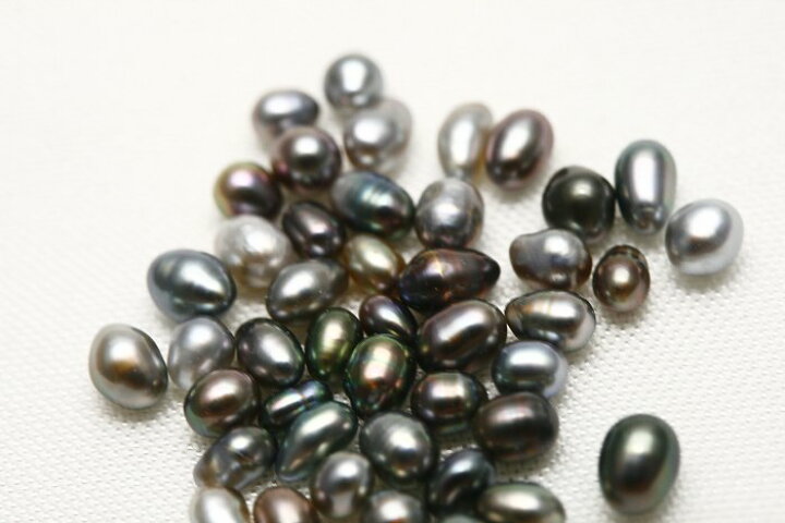 楽天市場】タヒチ黒蝶真珠パールルース ケシ 45ピース 1-2mm マルチ 