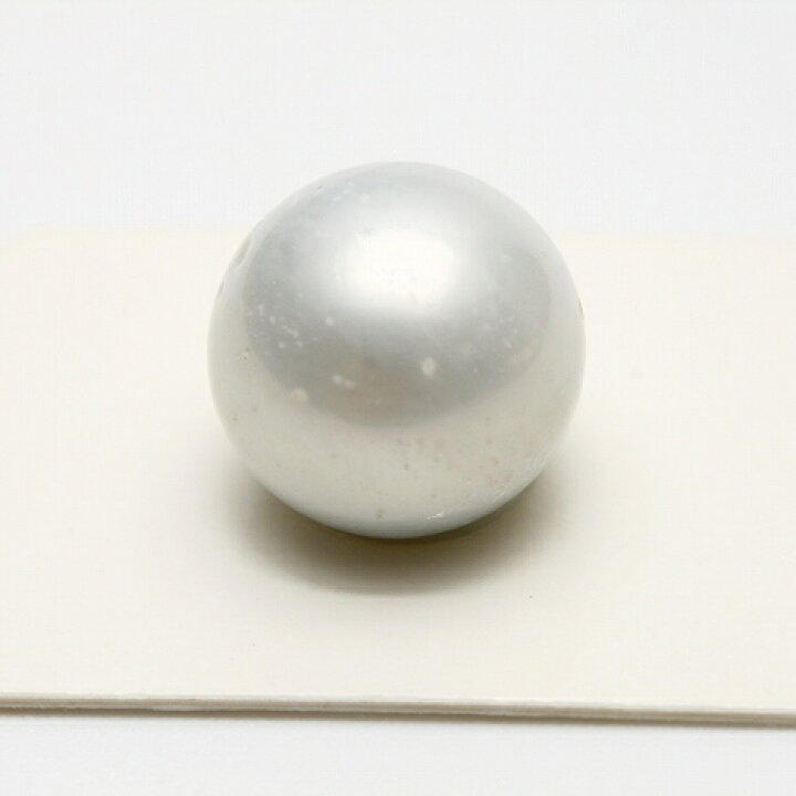 楽天市場】南洋白蝶真珠パールルース 両穴 15mm ホワイトカラー : 真珠 