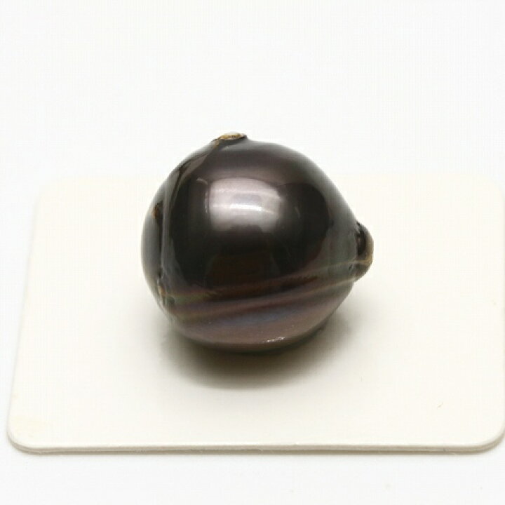 タヒチ黒蝶真珠パールルース両穴17×16mmブラックグレーカラー