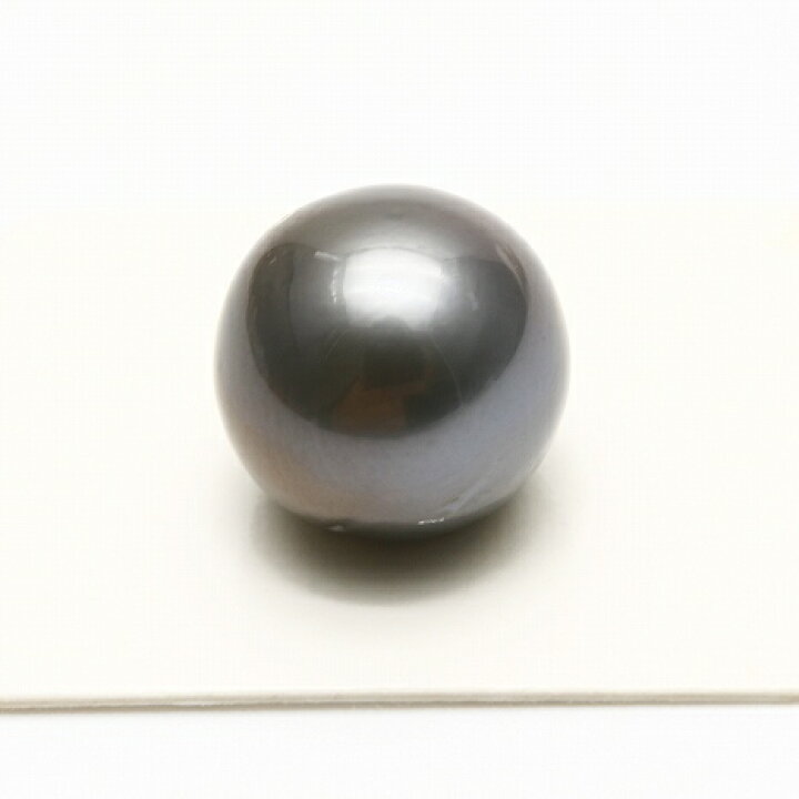 楽天市場】タヒチ黒蝶真珠パールルース 両穴 15mm ブラックカラー 