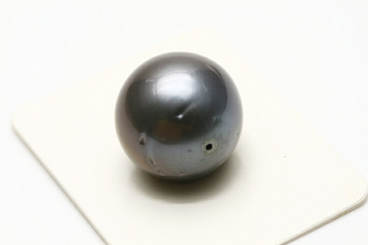 楽天市場】タヒチ黒蝶真珠パールルース 両穴 15mm ブラックカラー 