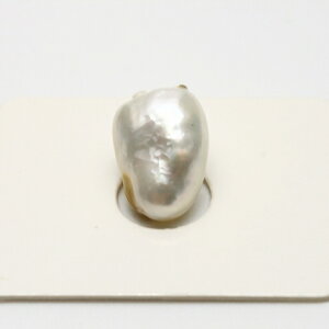 m^p[[X@PV@14×10mm@zCgJ[