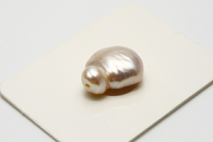 楽天市場】南洋白蝶真珠パールルース 両穴 ケシ 13×11mm ホワイト 