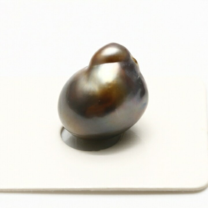 楽天市場】タヒチ黒蝶真珠パールルース ケシ 16×13mm ブラックカラー 