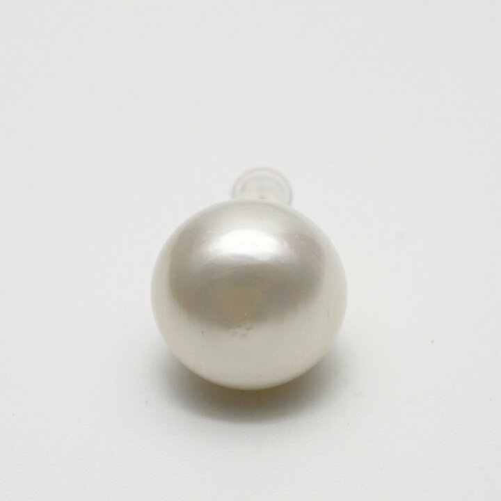 楽天市場】南洋白蝶真珠パールピアス シングルデザイン 15mm ホワイト  