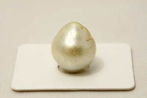 m^p[[X@16×14mm@zCgO[J[