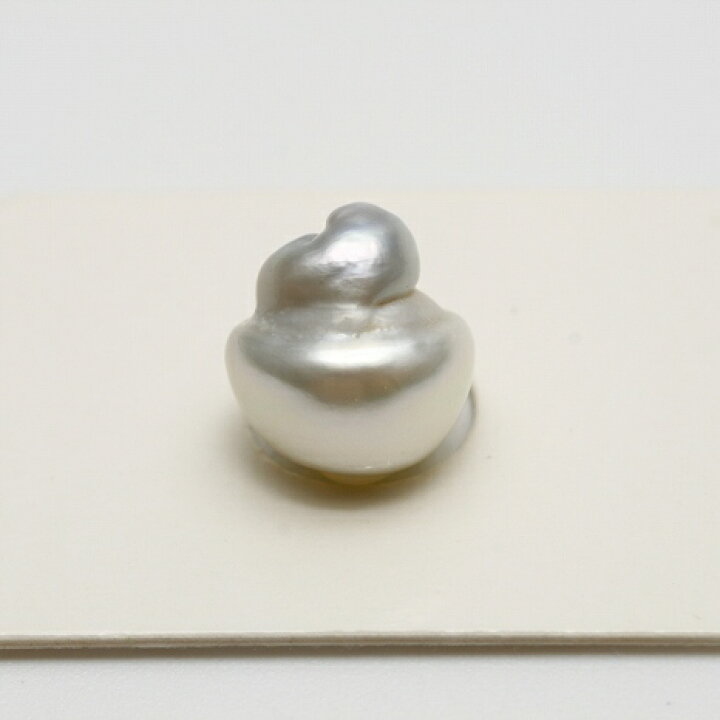 楽天市場】南洋白蝶真珠パールルース 12×10mm ホワイトカラー : 真珠倶楽部