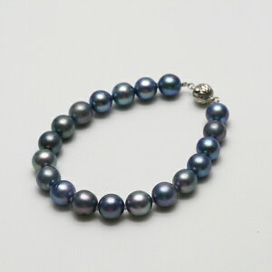 �A�R���^��p�[���u���X���b�g�@8.5-9.0mm�@�u���[�J���[