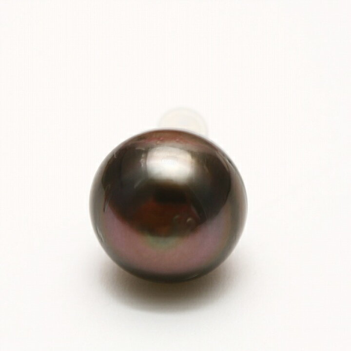 楽天市場】タヒチ黒蝶真珠パールピアス シングルデザイン 14mm  