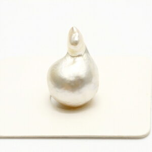 m^p[[X@19×12mm@zCgJ[