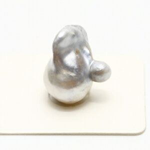 m^p[[X@20×12mm@Vo[zCgJ[