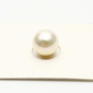 AR^p[[X@Ќ@9.5-10.0mm@zCgsNJ[