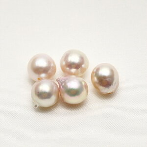 AR^p[[X@5s[X @9.0-9.5mm@zCgsNJ[