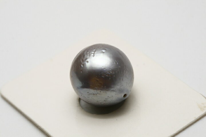 楽天市場】タヒチ黒蝶真珠パールルース 両穴 14×13mm グレーカラー 