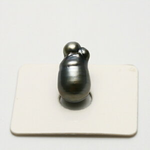 �^�q�`�����^��p�[�����[�X�@19×10mm�@�u���b�N�J���[