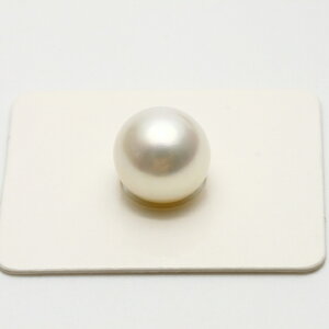 m^p[[X@Ќ@11mm@zCgJ[