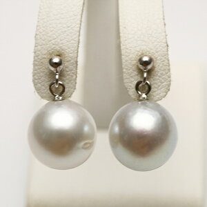 m^p[sAX @10mm @zCgJ[ @w@ Ǝ@ Zj[