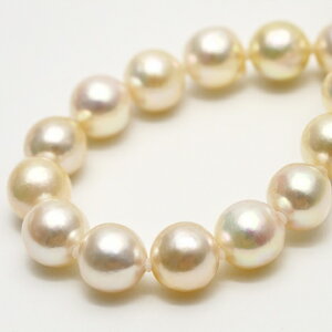 AR^p[lbNX@8.5-9.0mm@S[hO[J[@w@Ǝ@Zj[