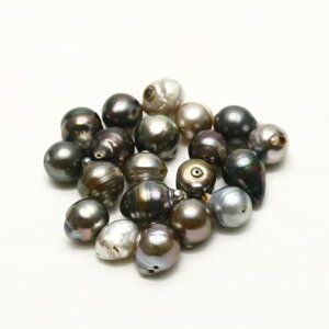 �^�q�`�����^��p�[�����[�X�@�����@20�s�[�X�@11-9mm�@�}���`�J���[