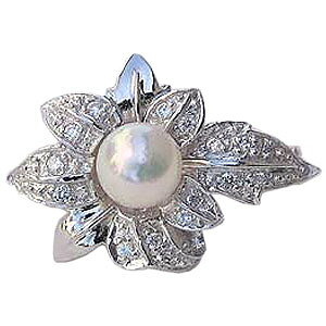 y|Cg10{ 10/27 9:59܂Łzp[ u[` tH[} ^u[`  AR{^ 7mm L[rbNWRjA  lC  v[g Mtg WG[ nEB