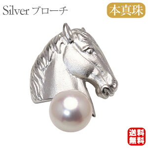 p[ u[` Y jp ߃u[` nsu[` nsY ^  AR 8mm ys xu[` n ߔNu[`  v[g Mtg WG[ nEB