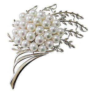 y|Cg10{ 10/27 9:59܂Łzy{^zp[ u[` tH[} Zj[  p[eB[ Vo[ Y ifUC v[g Mtg WG[  