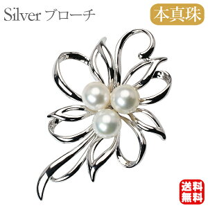 y|Cg10{ 10/27 9:59܂Łzy{^zp[ u[` tH[} Zj[  p[eB[ Vo[ Y ifUC v[g Mtg WG[  