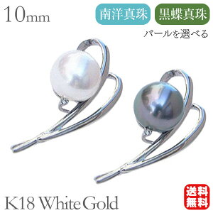 パール ブローチ フォーマル 真珠ブローチ ダイヤモンド 10mm k18 18k 18金 ホワイトゴールド タヒチ黒蝶真珠 南洋白蝶真珠 送料無料 セレモニー プレゼント ギフト ジュエリー ハロウィン