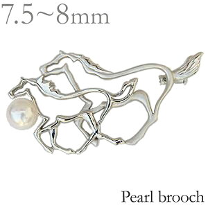 u[` ߃u[` p[u[` nu[` xu[` zCgz[X n Y jp  lC  JWA gh v[g Mtg WG[ nEB