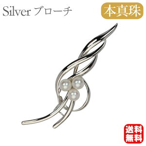 y|Cg10{ 10/27 9:59܂Łzy{^zp[ u[` tH[} Zj[  p[eB[ Vo[ Y ifUC v[g Mtg WG[  