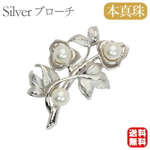 y|Cg10{zy{^zp[ u[` tH[} Zj[  p[eB[ Vo[ Y ifUC v[g Mtg WG[   ubNt