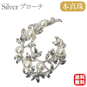 y|Cg10{ 10/27 9:59܂Łzy{^zp[ u[` tH[} Zj[  p[eB[ Vo[ Y ifUC v[g Mtg WG[  