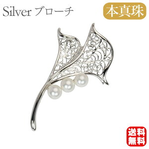 y|Cg10{Izy{^zp[ u[` tH[} Zj[  p[eB[ Vo[ Y ifUC  v[g Mtg WG[  