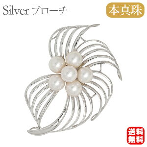 y|Cg10{ 10/27 9:59܂Łzy{^zp[ u[` tH[} Zj[  p[eB[ Vo[ Y ifUC  v[g Mtg WG[ 