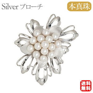 y10%OFF 12/11 1:59܂Łzy{^zp[ u[` tH[} Zj[  p[eB[ Vo[ Y ifUC  v[g Mtg WG[  