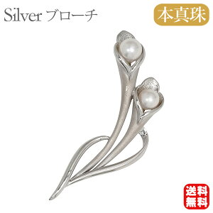 y|Cg10{ 10/27 9:59܂Łzy{^zp[ u[` tH[} Zj[  p[eB[ Vo[ Y ifUC  v[g Mtg WG[ 