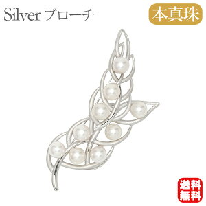 y|Cg10{zy{^zp[ u[` tH[} Zj[  p[eB[ Vo[ Y ifUC v[g Mtg WG[   ubNt