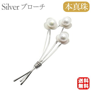 y|Cg10{ 10/27 9:59܂Łzy{^zp[ u[` tH[} Zj[  p[eB[ Vo[ Y ifUC v[g Mtg WG[  