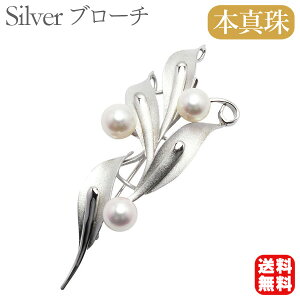 y|Cg10{Izy{^zp[ u[` tH[} Zj[  p[eB[ Vo[ Y ifUC v[g Mtg WG[  