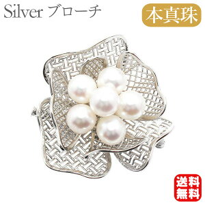 y|Cg10{ 10/27 9:59܂Łzy{^zp[ u[` tH[} Zj[  p[eB[ Vo[ Y ifUC v[g Mtg WG[  