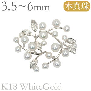 y11/1 0 |Cg10{z_ChO w v`i GQ[WO sL[O w _Ch lC  JWA gh v[g Mtg WG[