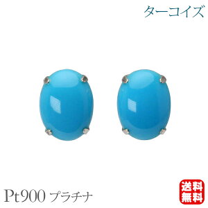 y|Cg10{z^[RCY sAX X^bh Vv v`i pt900 12a yA  JWA ig fB[X v[g Mtg WG[ ubNtCf[