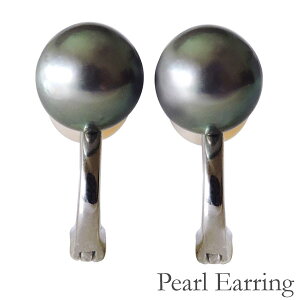 y|Cg10{zCO {^ Vo[ 8mm mz[sAX C[Jt 2t fB[X AR earl ۏ؏t  Ԃ牺  ig lC JWA 